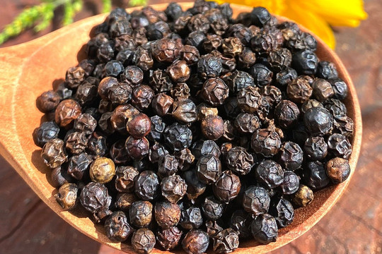 Giá tiêu hôm nay 27/7/2026: Giữ vững mức cao nhất 141.000 đồng/kg