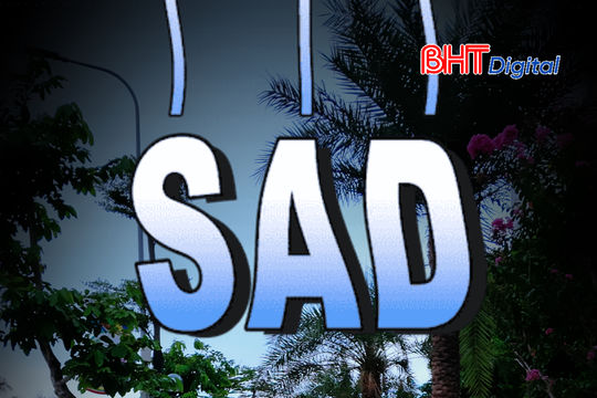 Đã uống rượu bia, tuyệt đối không điều khiển phương tiện tham gia giao thông.