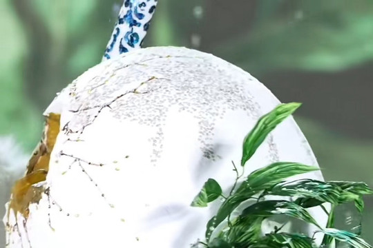 Miss Grand Vietnam 2026: Trang phục hột vịt lộn gây tranh luận sau đêm bán kết