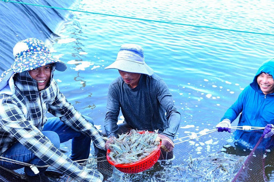 Hà Tĩnh thu hơn 410 tỷ đồng từ nuôi trồng thủy sản
