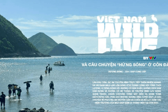 Hậu trường 10 tiếng phát sóng trực tiếp Vietnam Wild Live giữa rừng sâu Côn Đảo