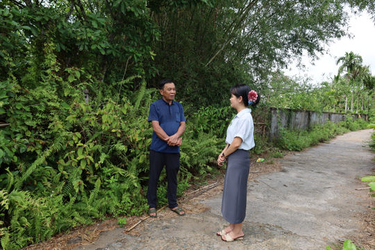 Có hay không việc cấp bìa chống lấn ?