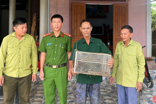 Người dân tự nguyện giao nộp khỉ đuôi lợn quý hiếm