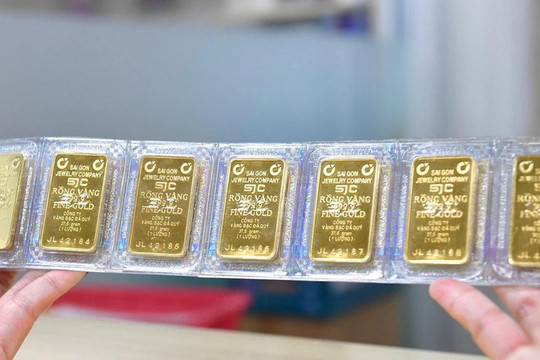 Giá vàng miếng lên cao nhất hai tuần