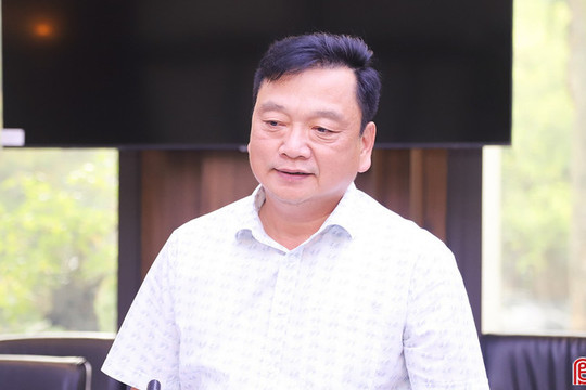 Hà Tĩnh thúc đẩy phát triển bền vững cây dó bầu