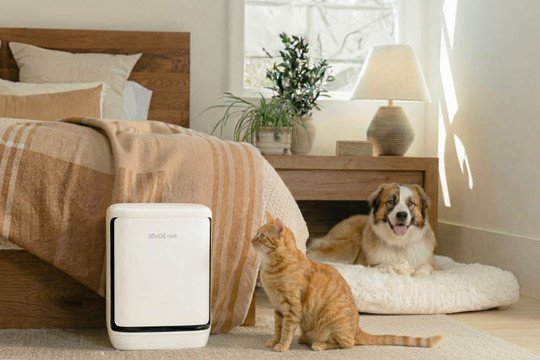 Levoit Vital Pet Pro ra mắt với cơ chế tự làm sạch màng lọc và xử lý lông thú cưng