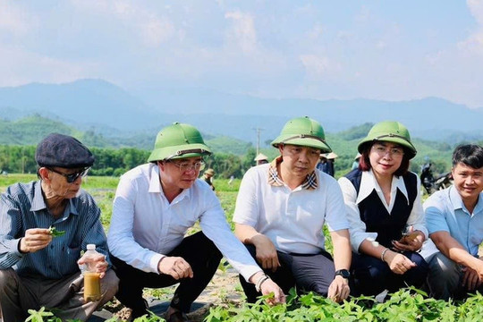 Xã Đức Đồng tuyển dụng viên chức khuyến nông