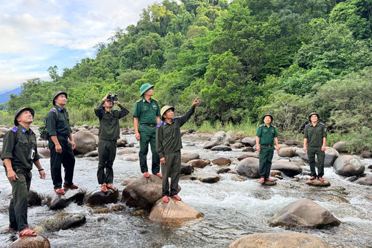 Từ đại ngàn Vũ Quang đến vùng biên xanh