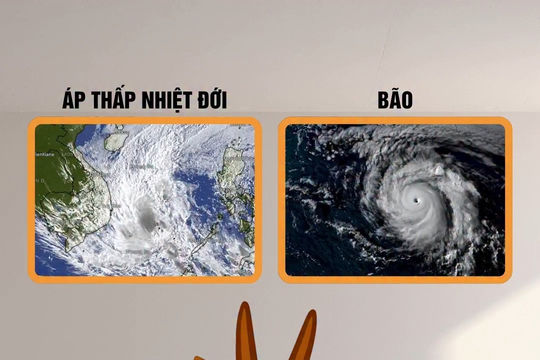 Bão và áp thấp nhiệt đới khác nhau như thế nào?