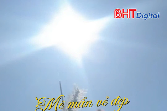 Mê mẩn vẻ đẹp của "ốc đảo" Hồng Lam mùa thu hoạch cói