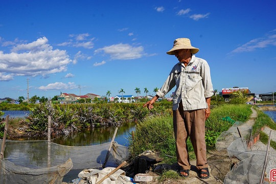 Khi hạ tầng “níu chân” vùng nuôi thủy sản