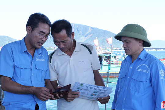 Sẵn sàng cho lộ trình sử dụng nhật ký khai thác thủy sản điện tử