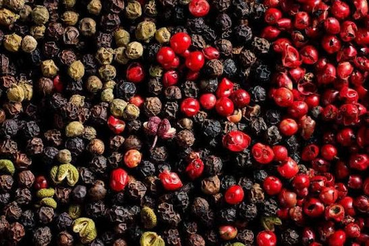 Giá cà phê hôm nay 18/8/2026: Arabica lên đỉnh 6 tuần, trong nước tăng 400 đồng/kg