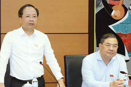 Hoàn thiện khung pháp lý về hình sự, tố tụng và điều tra