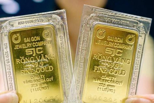 Giá vàng miếng, vàng nhẫn trơn chiều 20/8/2026 tại SJC, DOJI, PNJ, BTMH, Mi Hồng