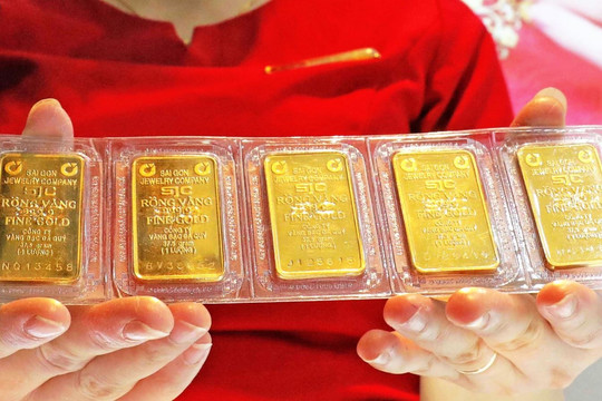 Giá vàng miếng, nhẫn trơn hôm nay chiều 21/8/2026 tại SJC, DOJI, PNJ, BTMH, Mi Hồng