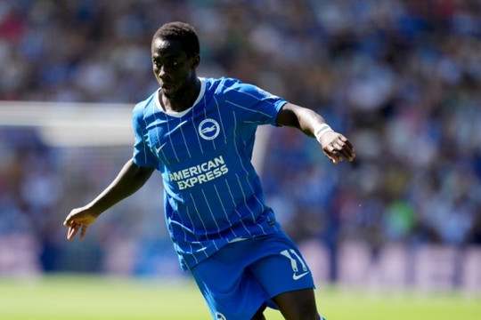 Liverpool đàm phán mua Yankuba Minteh từ Brighton sau bế tắc thương vụ Barcola với PSG