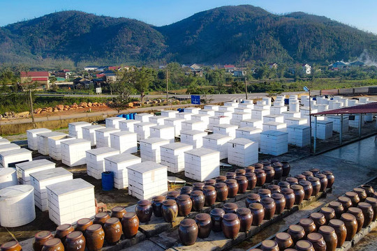 Vì sao Hà Tĩnh cần truy xuất nguồn gốc để nâng tầm nông sản?