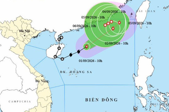 Theo dõi chặt chẽ diễn biến, chủ động ứng phó với bão số 5