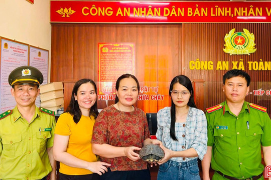 Bàn giao cá thể rùa cổ sọc quý hiếm để thả về môi trường tự nhiên