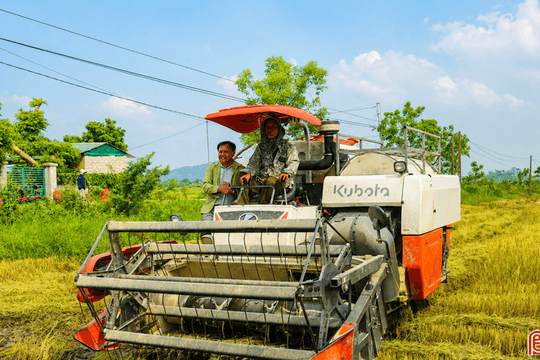 Chủ động mùa vụ, nâng giá trị hạt lúa Hà Tĩnh