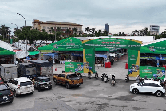 OCOP Hà Tĩnh – Nâng tầm sản phẩm, mở rộng thị trường tiêu thụ