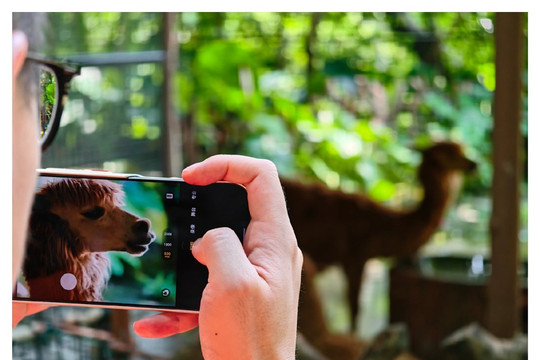 Sức mạnh camera 200MP và hệ thống siêu zoom 1000mm trên mẫu flagship HONOR Magic 9 Pro Max