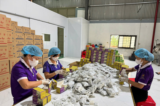 Trà gạo lứt Omega An Phát - Thơm lành từ thiên nhiên