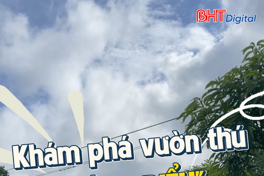Khám phá vườn thú "Bách Điểu" ở Hà Tĩnh