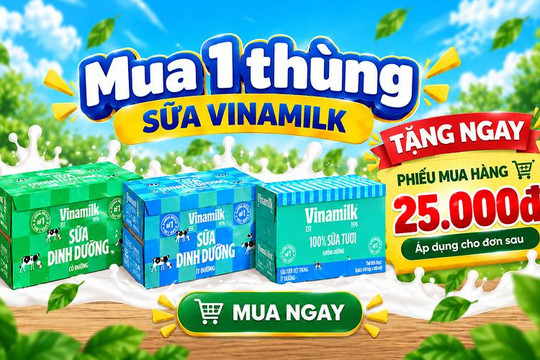 Cách mua sữa thùng Vinamilk online nhận ngay phiếu mua hàng 25K tiết kiệm tại Bách hóa XANH