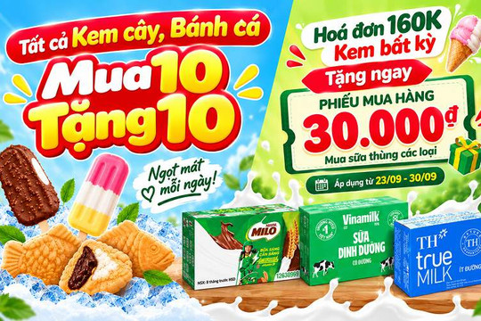 Cách săn ưu đãi kem cây mua 10 tặng 10 và nhận phiếu mua sữa 30.000 đồng ở Bách hóa XANH