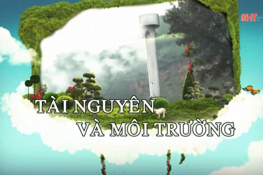 Phát triển rừng bền vững, hướng tới thị trường tín chỉ carbon