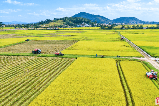 Ngành NN&MT Hà Tĩnh đóng góp tích cực vào tăng trưởng chung của tỉnh