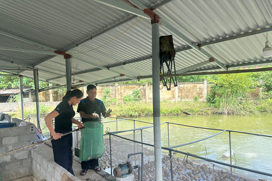 Nông nghiệp tuần hoàn - hướng đi bền vững cho nông dân