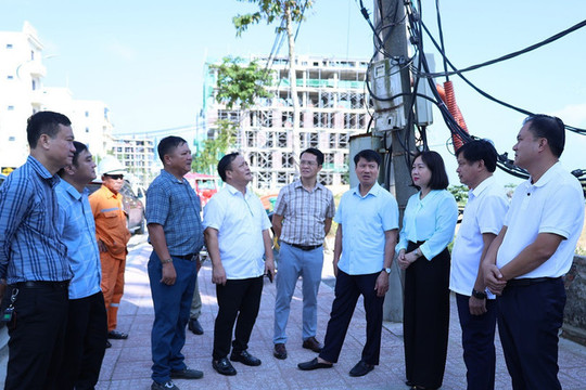 Vì sao lưới điện do hợp tác xã quản lý chưa thể chuyển giao?
