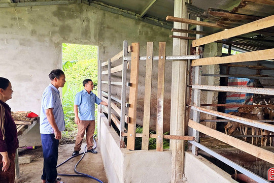 Những người tiên phong đưa đàn hươu về với xã biển Kỳ Xuân
