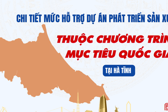 [Infographic] Chi tiết mức hỗ trợ dự án phát triển sản xuất thuộc Chương trình mục tiêu quốc gia tại Hà Tĩnh