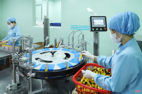 Doanh nghiệp Hà Tĩnh tăng tốc sản xuất, mở rộng thị trường cuối năm
