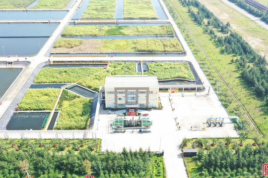 Formosa Hà Tĩnh: Giữ nhịp sản xuất, chú trọng môi trường