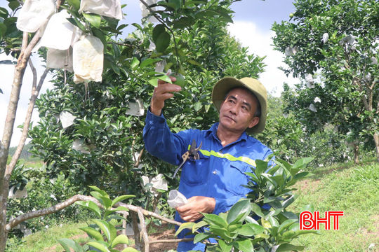 Đồng Lộc - Phát triển bền vững từ những mô hình kinh tế