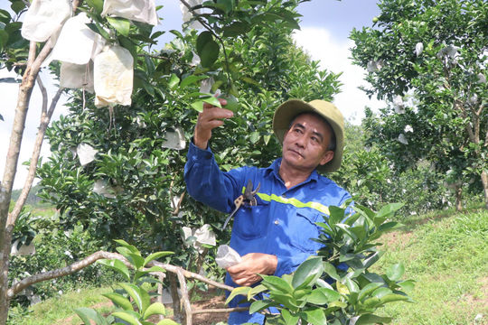 Đồng Lộc - Phát triển bền vững từ những mô hình kinh tế