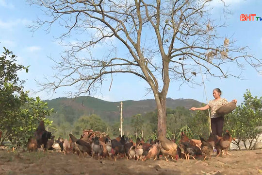 Gia Hanh đa dạng hoá mô hình đồng hành cùng người nghèo vượt khó