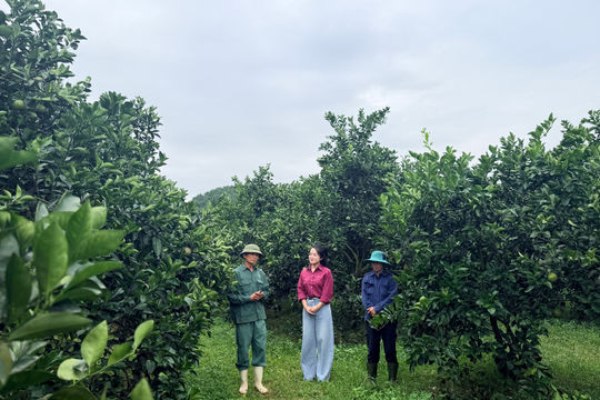 Về miền non nước Trà Sơn, Hà Tĩnh