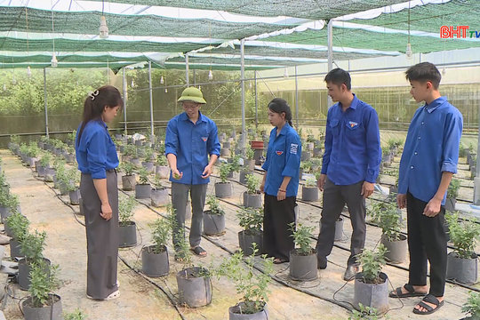Khởi nghiệp từ những mầm hoa