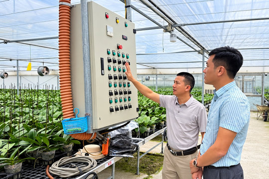 Chuyển đổi số nông nghiệp - Động lực xây dựng nông thôn mới hiện đại