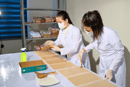 Hà Tĩnh - Ký ức từ những tài liệu lưu trữ