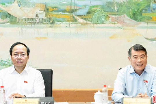 Thủ tướng dự thảo luận tổ với các đoàn ĐBQH Hà Tĩnh, Hải Phòng, Lạng Sơn về 3 dự án luật
