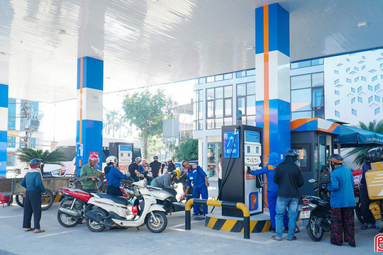 Chủ động nguồn hàng, giữ nhịp ổn định thị trường cuối năm