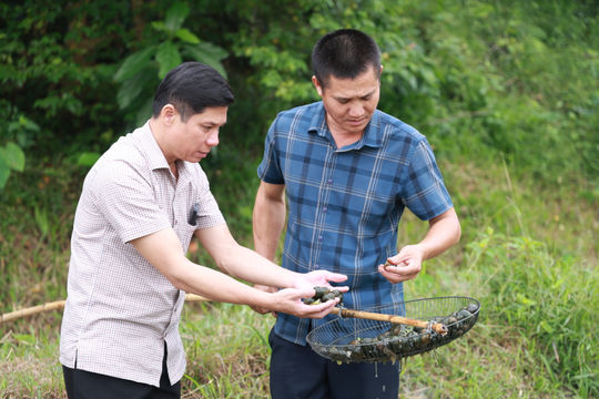 Nông dân Kim Hoa làm giàu từ nông nghiệp xanh