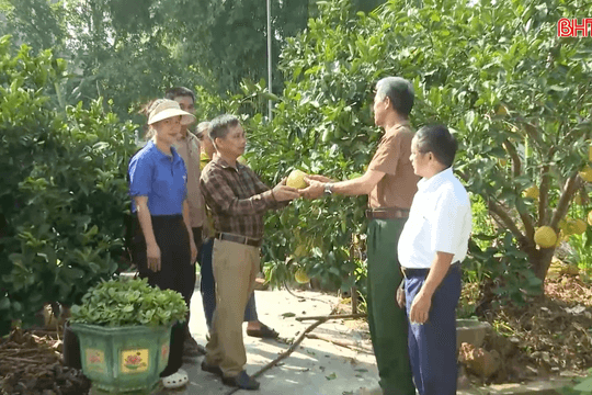 “Quả ngọt” trong bức tranh giảm nghèo, phát triển kinh tế ở xã Trường Lưu